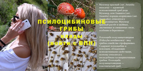молекула духа Протвино