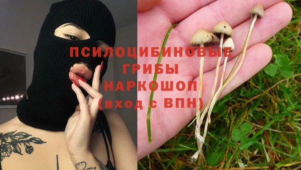 СК Алексеевка