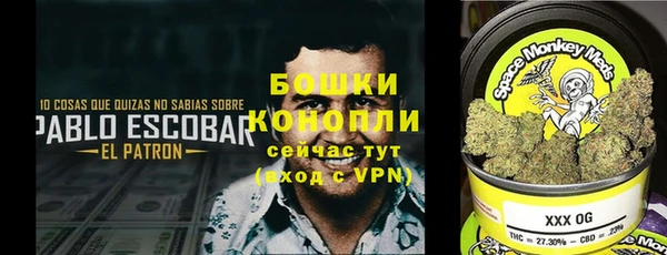 СК Алексеевка