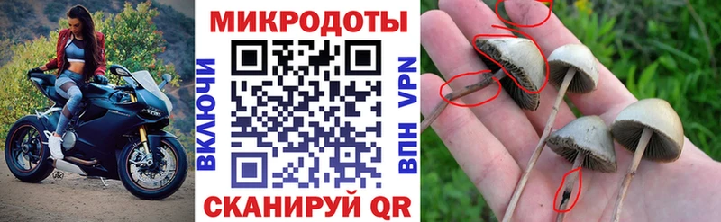 Псилоцибиновые грибы мицелий  Полевской 